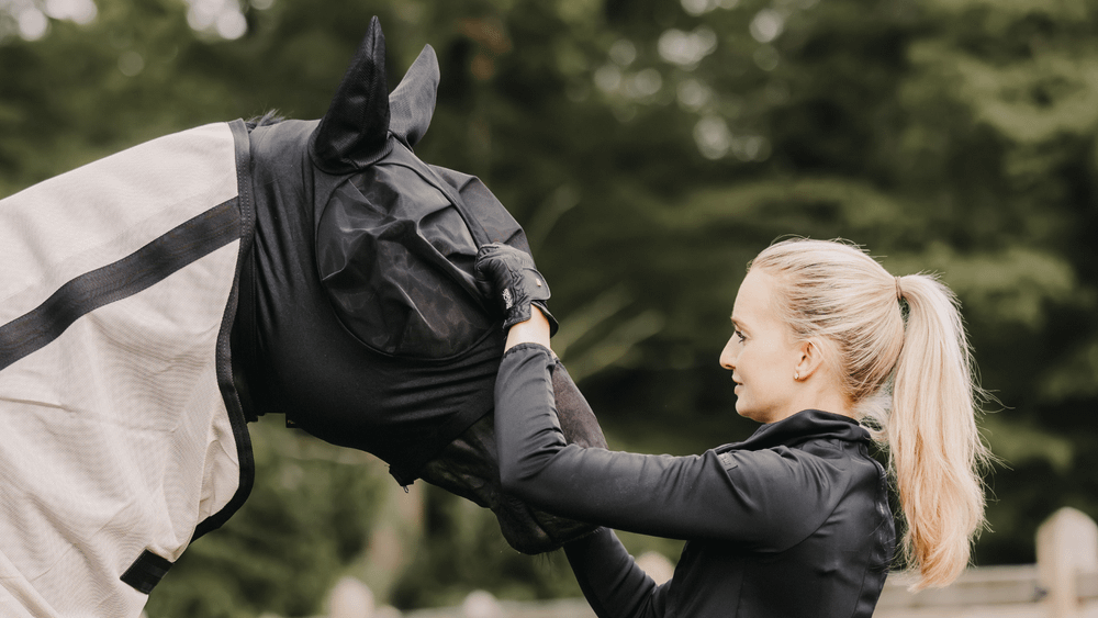 La Saison des Mouches pour les Chevaux : Le Guide Complet pour Garder Votre Cheval à l'Aise et Protégé